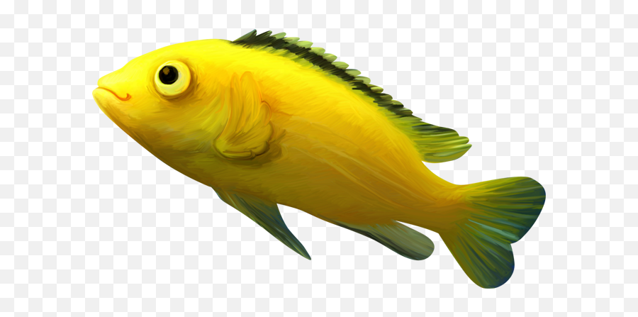 Fish In Bowl Png Photos Free Images U0026 Clipart - Transparent Yellow Fish Clipart Emoji,Fish Png