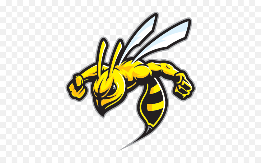 Download Hornet Clipart Wasp Sting - Honey Bee Mascot Logo Hackett Hornets Emoji,Hornet Logo