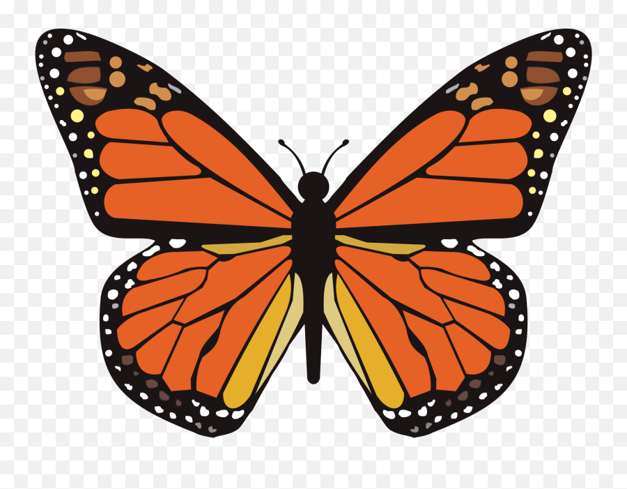 Monarch Butterfly - Printable Monarch Butterfly Stencil Emoji,Monarch Butterfly Png