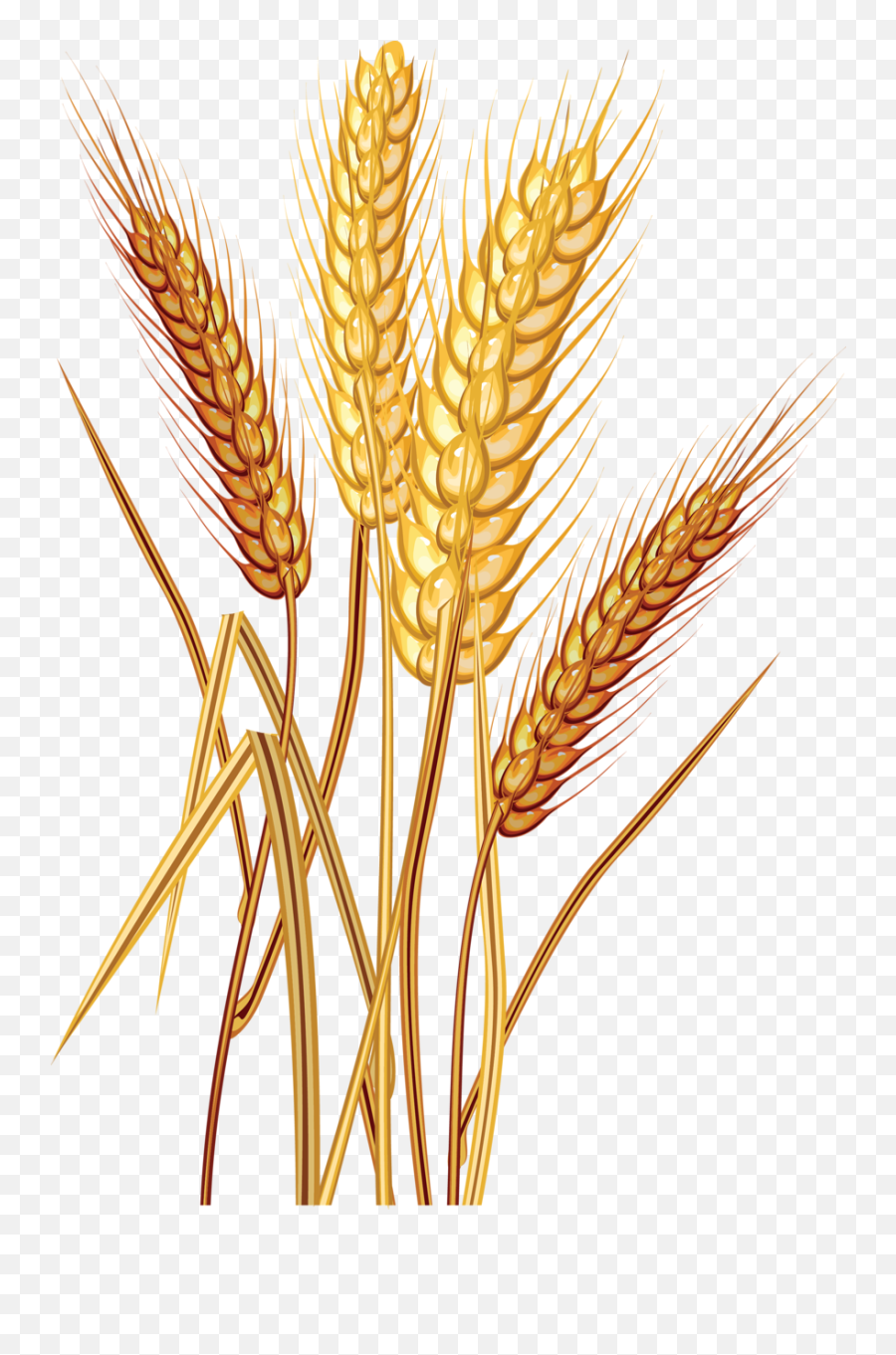 Wheat Clipart - Wheat Clipart Png Emoji,Wheat Clipart