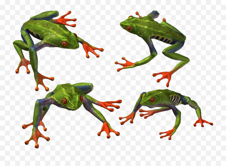 Frog Png Alpha Channel Clipart Images - Frogs Emoji,Frog Transparent