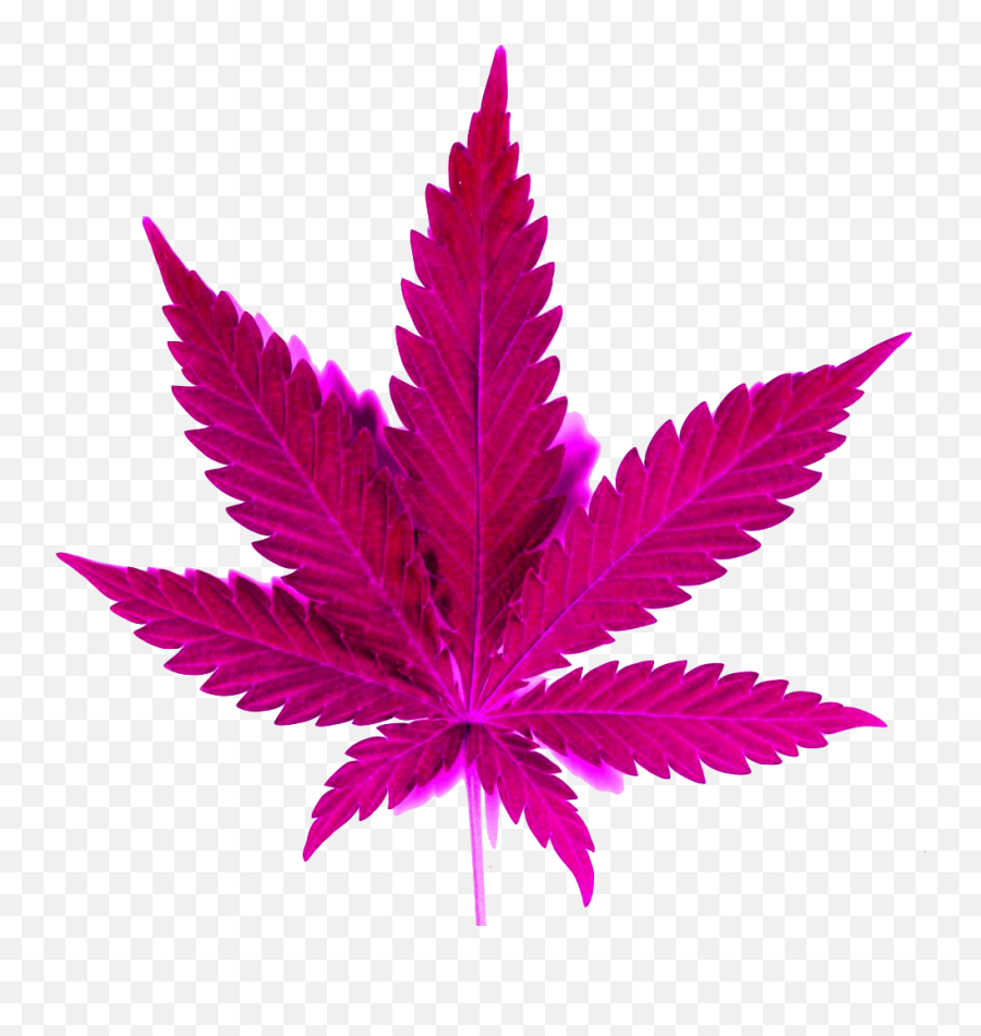 Weed Png - Marihuana Png Emoji,Weed Clipart