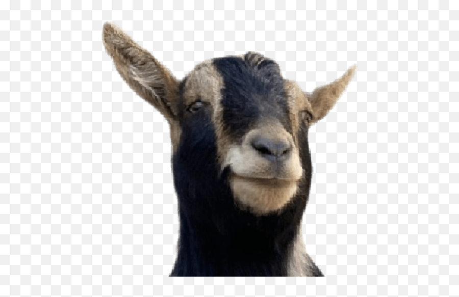 Goat Emoji,Goat Emoji Png
