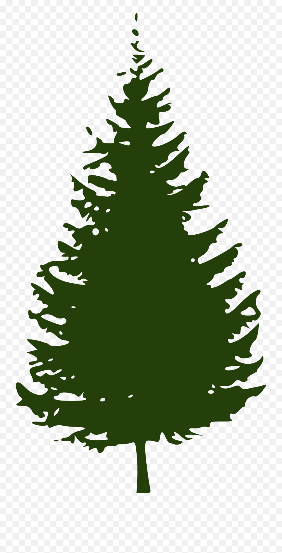 Clipart Of Spruce Conifer Tree Free Image Download Emoji,Cypress Tree Clipart