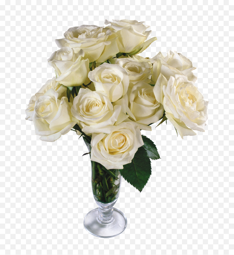 White Rose Png Hd Quality - Transparent Background White Rose Bouquet Png Emoji,White Rose Png
