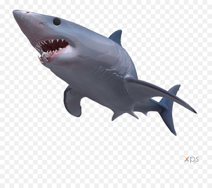 Mako Shark Transparent Background Emoji,Shark Transparent Background
