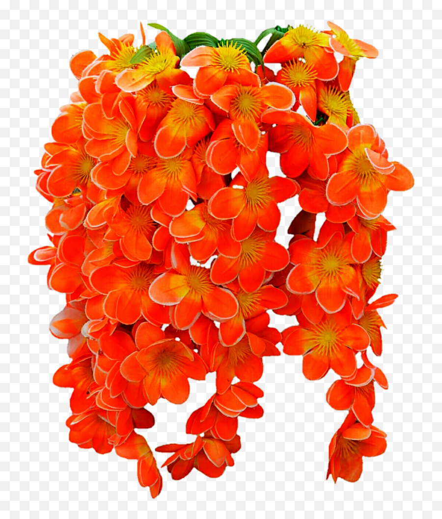 Download Png Images Of Tropical Flower Vines - Drawing Png Emoji,Tropical Flower Png