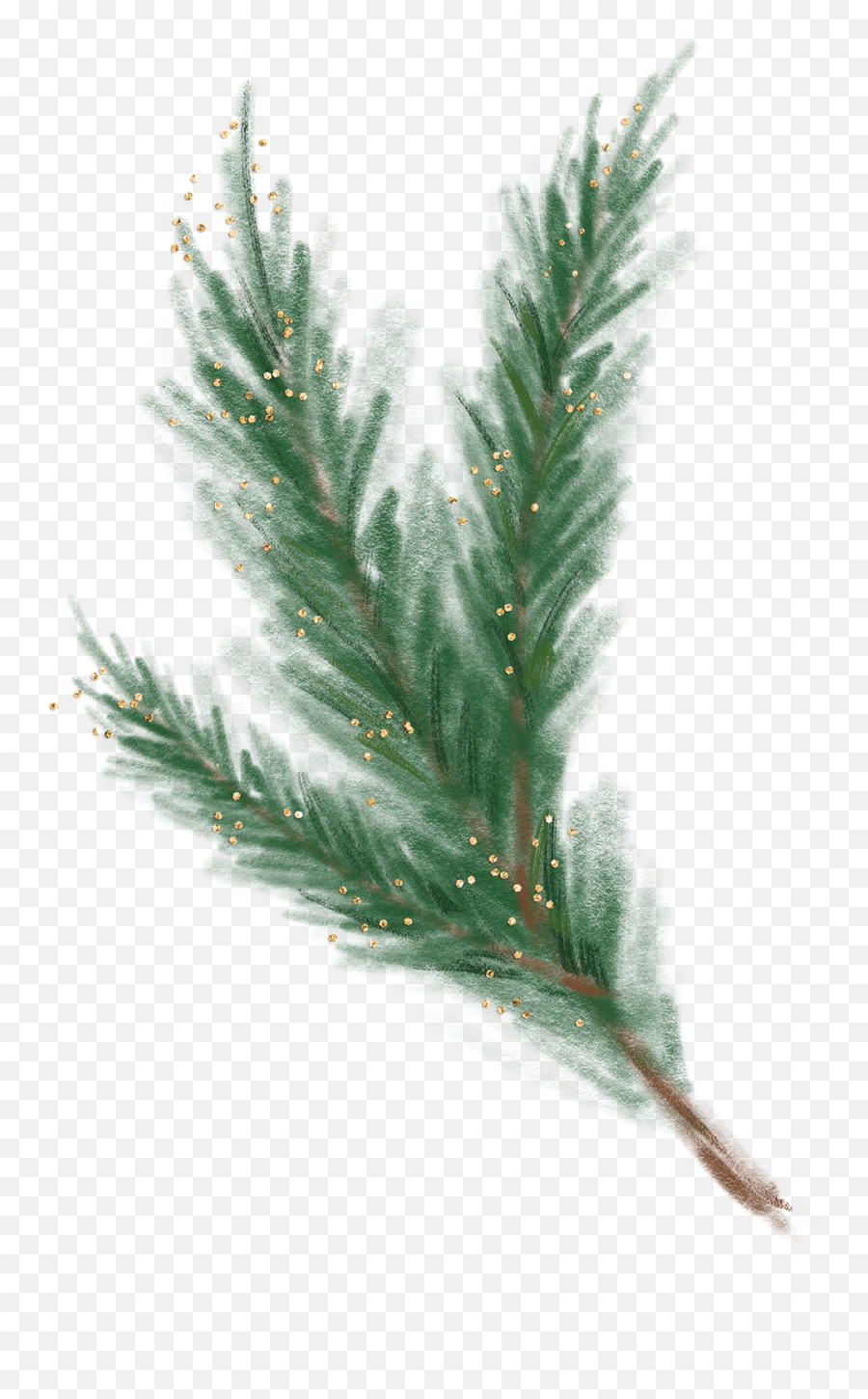 Branch Christmastree Conifer Sticker By Stacey4790 Emoji,Cypress Tree Clipart
