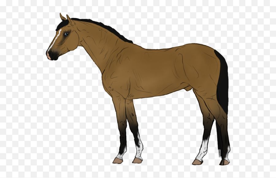 Animated Horse Transparent Background Transparent Cartoon - Animated Horse Transparent Background Emoji,Horse Transparent