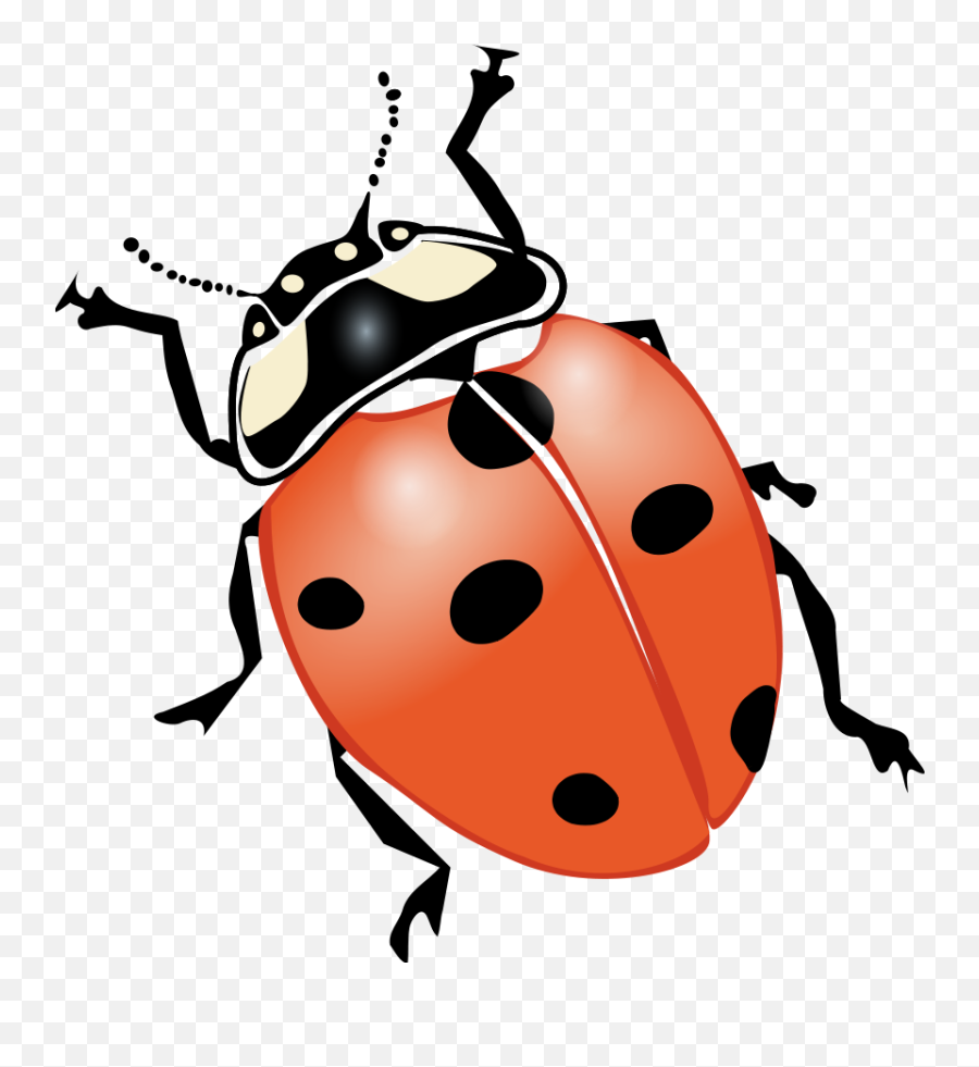 Clipart Of Bug Ia And Lightning Bug But - Bugs And Insects Ladybugs Emoji,Bugs Clipart