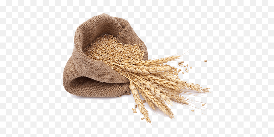 Local Wheat Flour Emoji,Grain Png