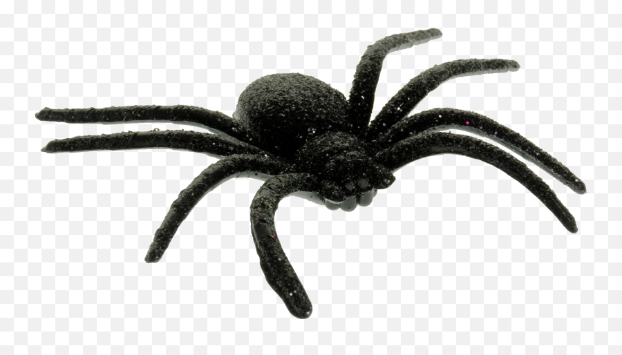 Scary Spider - Scary Spider Png Emoji,Tarantula Png