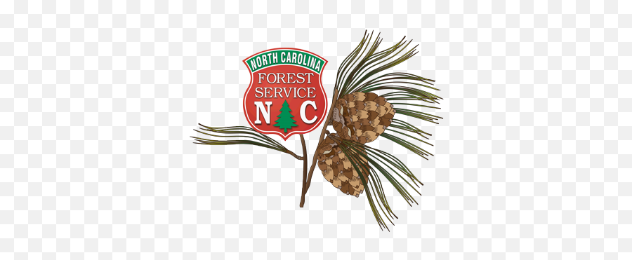 North Carolina Educational State Forests - Dupont State Forest Emoji,Us Forest Service Logo