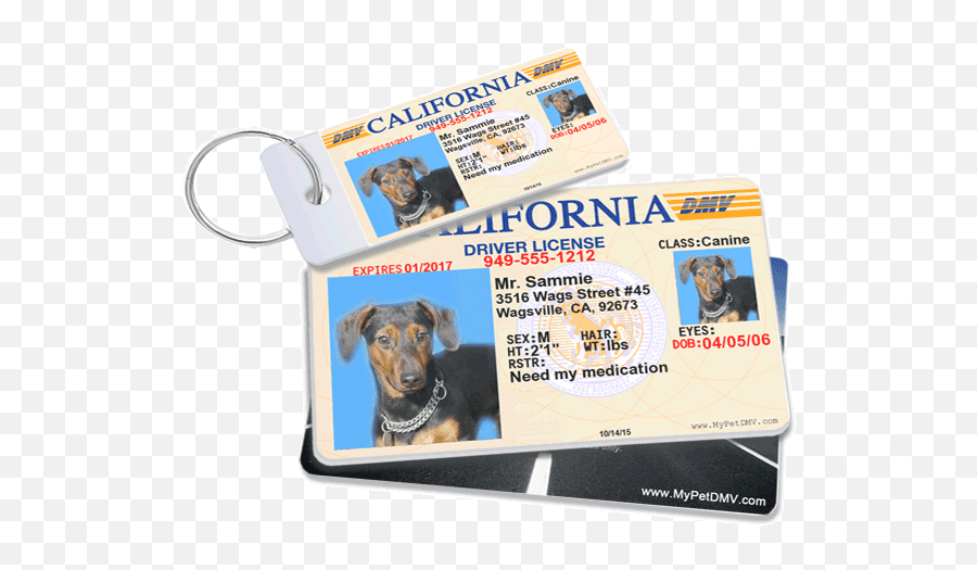 Mypetdmv - Official Pet Driveru0027s License Tag For All 50 States Cool Dog Tags Emoji,Dog Tags Png