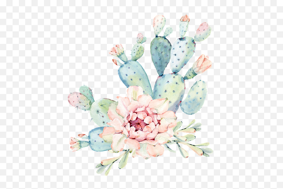 Free Photo Bloom Garden Cactus Cacti Cactus Flower Nature - Cactus Emoji,Cactus Flower Clipart