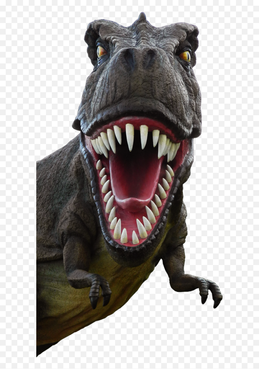 Free Pngs - Dinosaur Face Transparent Background Emoji,Dinosaur Png