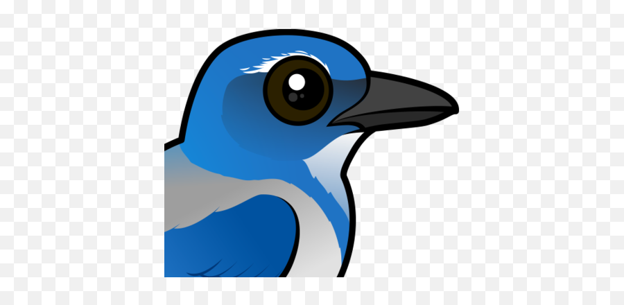 Meet The Cute Birdorable California Scrub - Jay U003c Corvids Emoji,Scrub Clipart