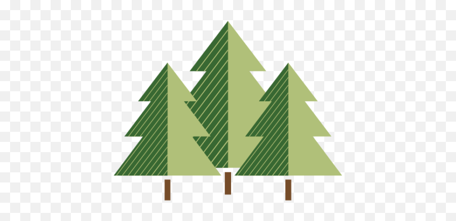 What Are The Benefits Of Reforestation Emoji,Woodland Tree Clipart