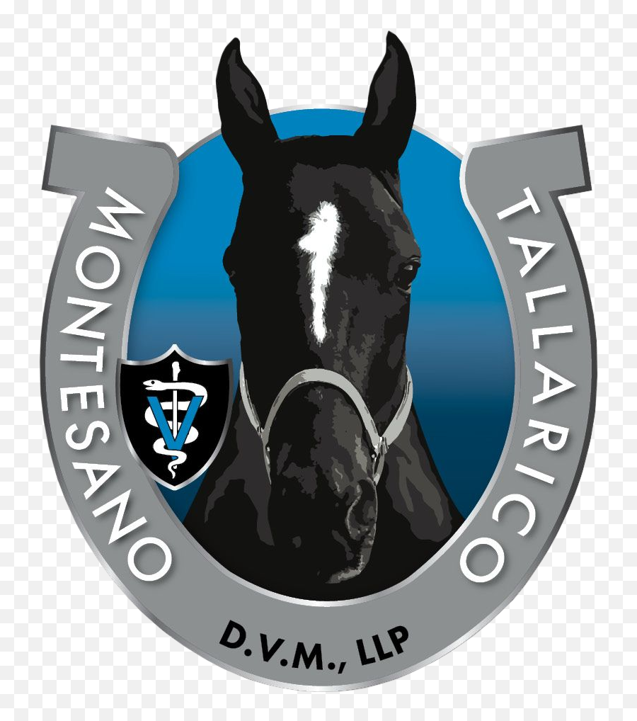Montesano U0026 Tallarico Dvm - Equine Ambulatory Veterinary Emoji,Horse With Wings Logo