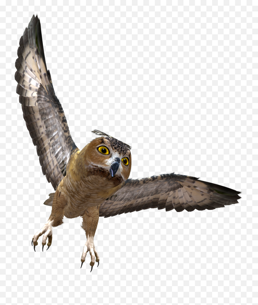 Owl Png - Flying Owl Gif Png Emoji,Owl Png
