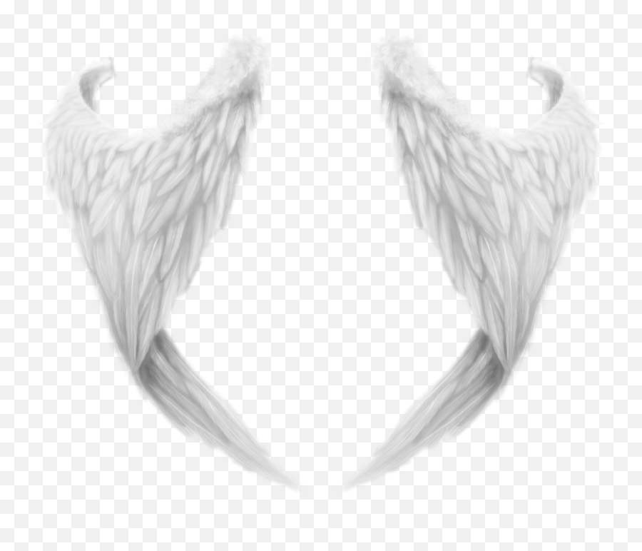 Download White Wings Png - Supernatural Creature Emoji,Wings Png
