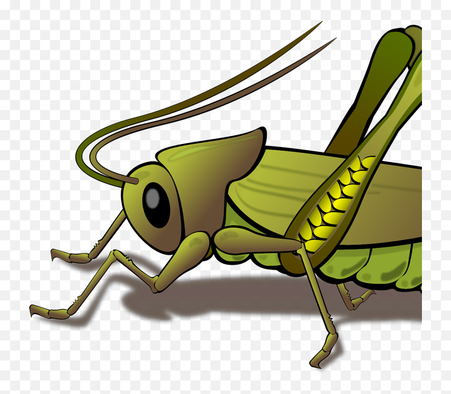 Cricket Svg Vector Cricket Clip Art - Grasshopper Clipart Png Emoji,Cricket Clipart