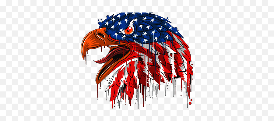 Aswin Nataraj On Behance - Eagle Head American Flag Logo Png Emoji,Us Eagle Logo