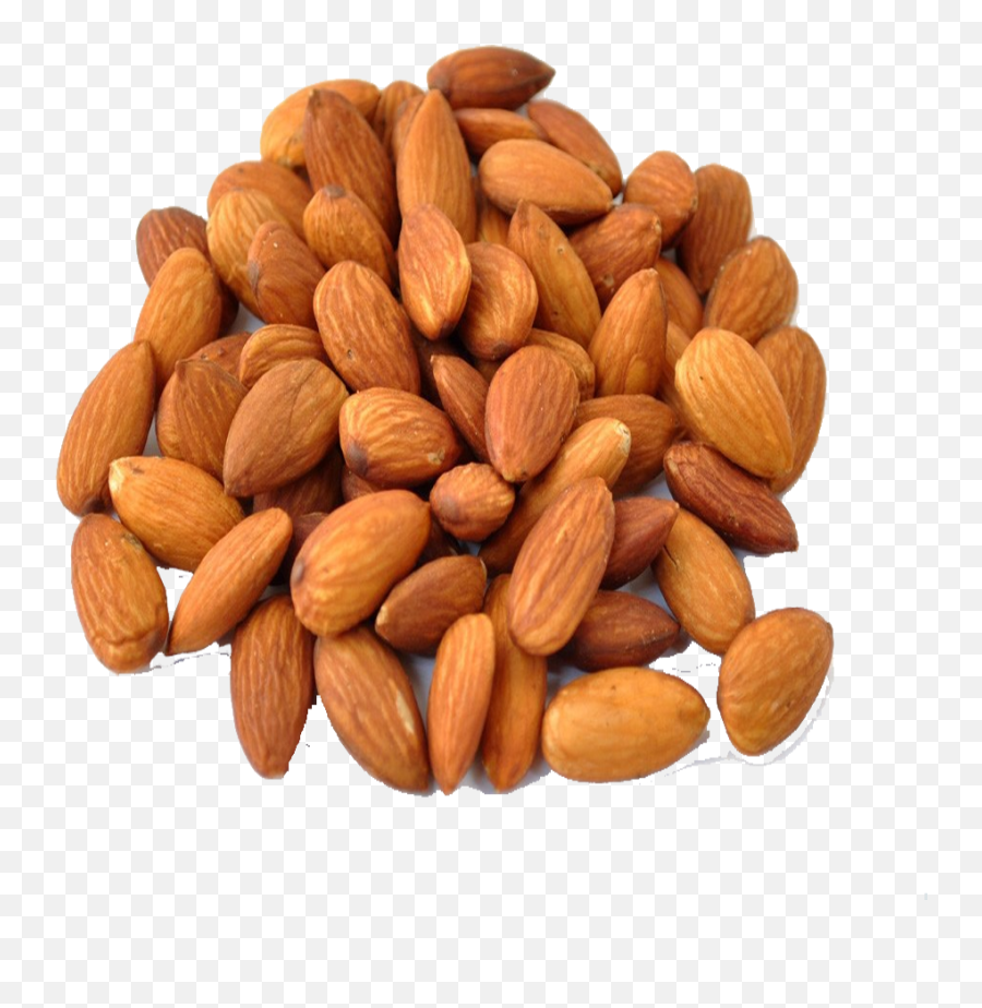 Download Nut Almond Png File Hd Hq Png Image Freepngimg Emoji,Nuts Transparent