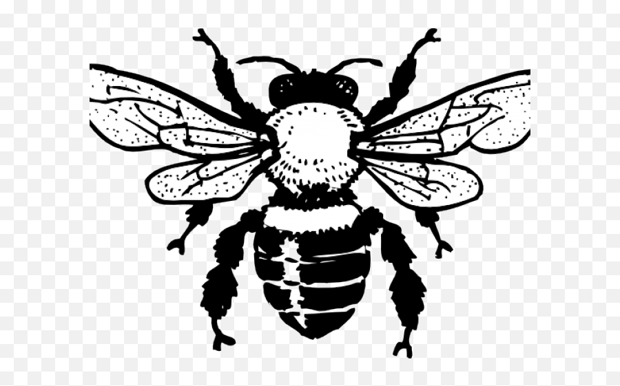 Gucci Clipart Bee - Png Download Full Size Clipart Black And White Bee Clip Art Emoji,Gucci Png