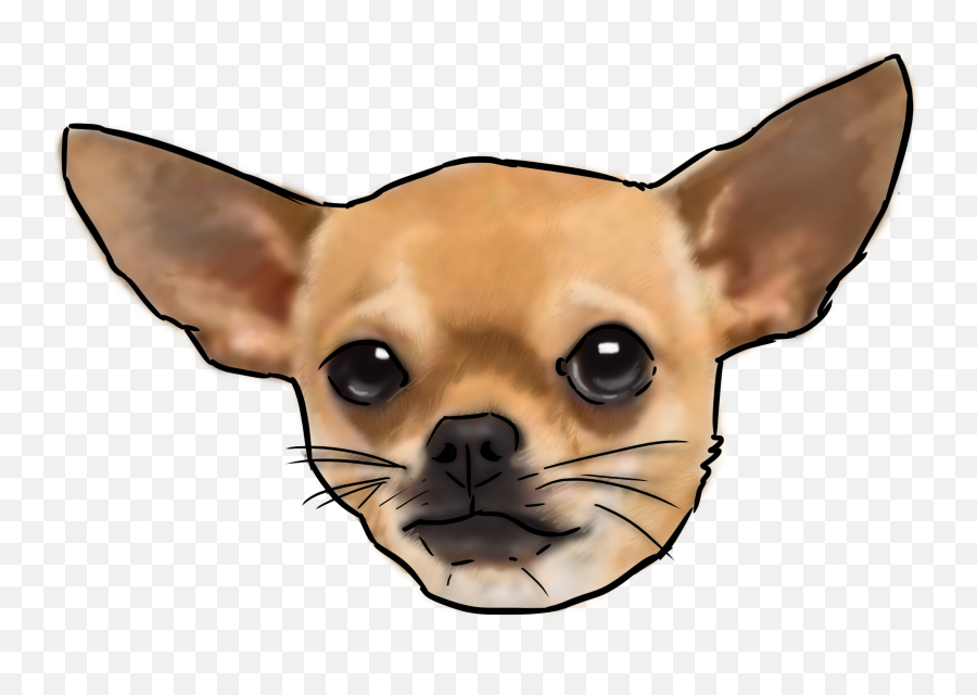 Why Are You - Chihuahua Clipart Emoji,Chihuahua Clipart