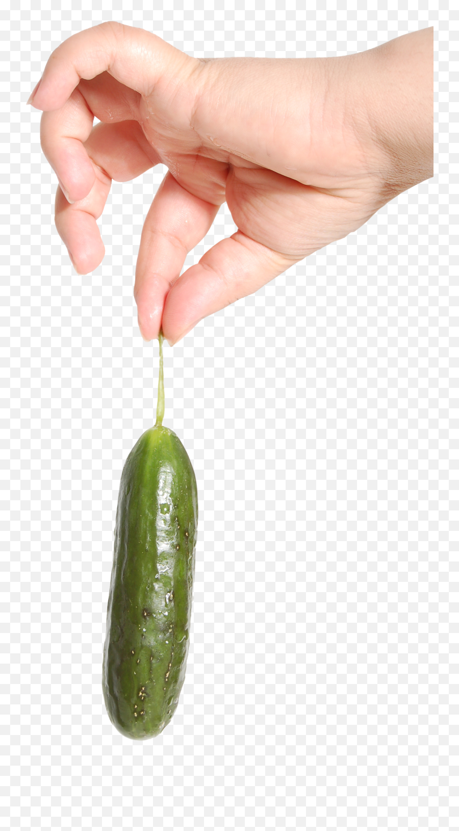 Cucumber In Hand Png Image - Purepng Free Transparent Cc0 Holding Cucumber In Hand Emoji,Cucumber Clipart