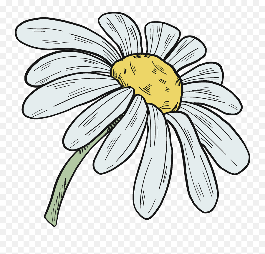 Daisy Clipart Free Download Transparent Png Creazilla - Lovely Emoji,May Flowers Clipart