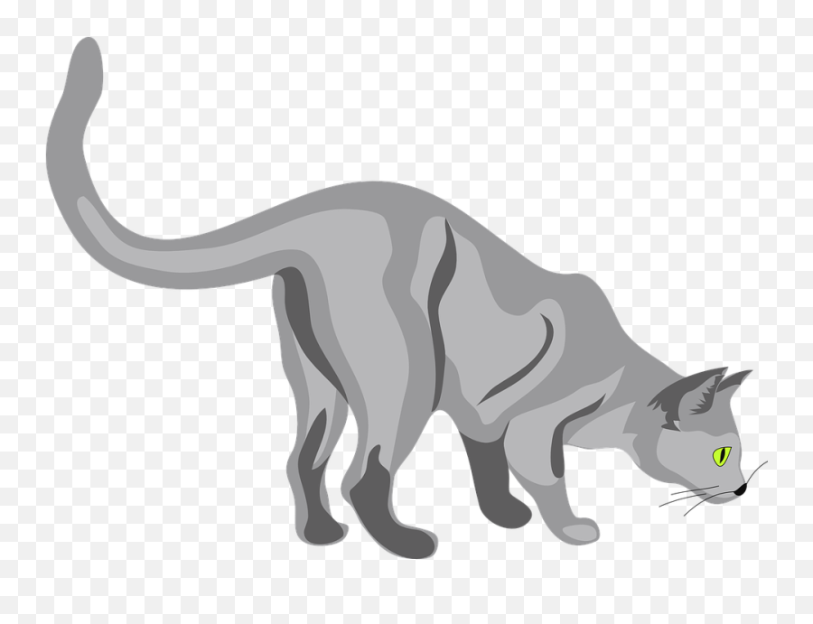 Free Photo Pet Sniffing Curious Feline Tail Mammal Cat - Max Cat Sniffing Clipart Emoji,Cat Tail Clipart