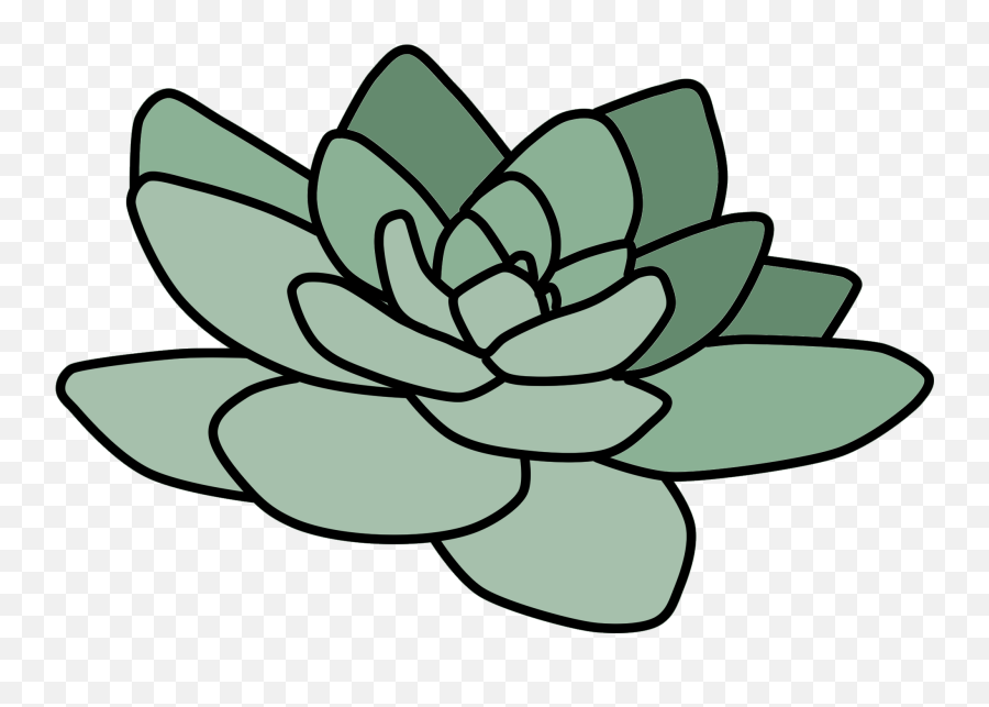 Cactus Suculent Tumblr Plant Green Niebieskoka Drawing - Cactus Png Emoji,Cactus Flower Clipart