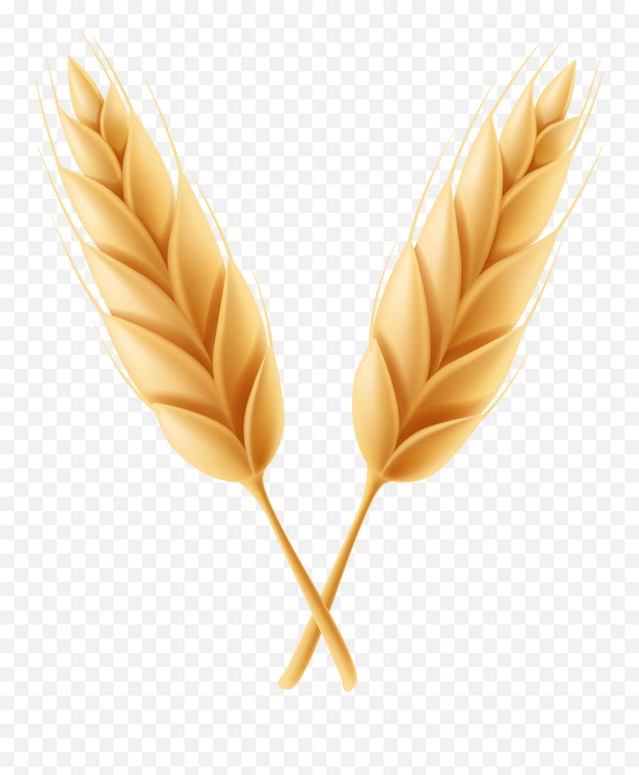 Wheat Clipart Feather Wheat Feather Emoji,Wheat Clipart