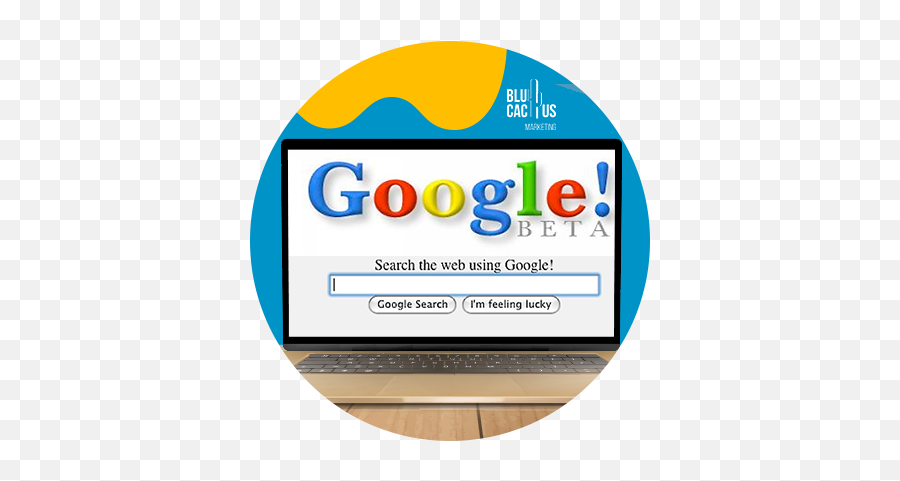 The History Of Seo Blucactus Web Optimization Agency Seo - Google Emoji,Google Logo History