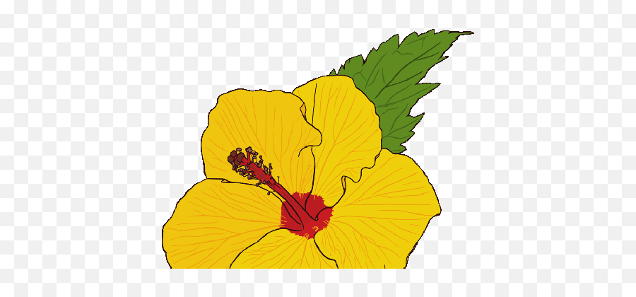 Pe Clipart Animated Transparent Free For Hawaiian Flower - Hawaiian Hibiscus Emoji,Pe Clipart