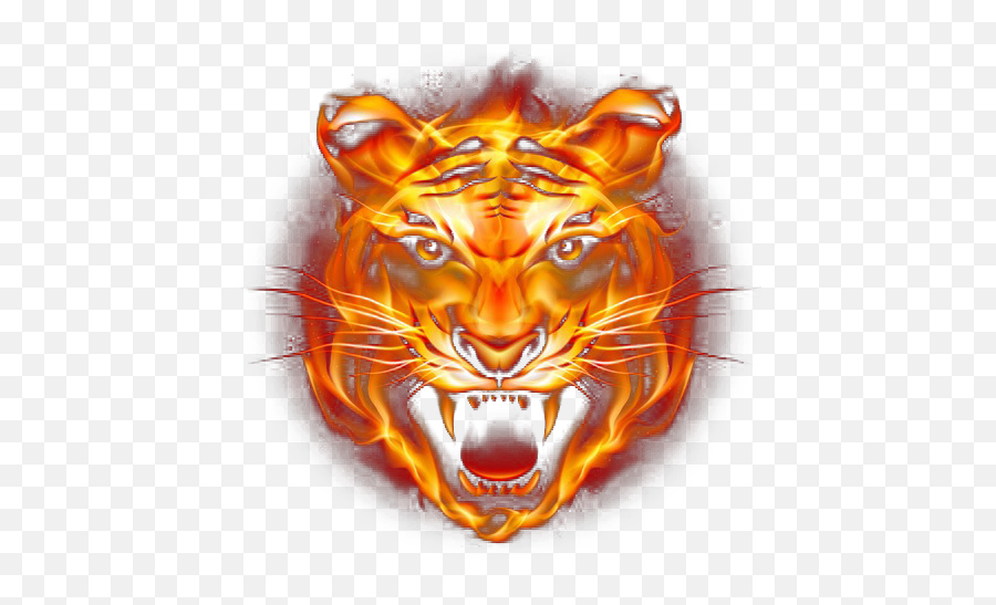 160 Tiger Free Png Images Ideas Tiger Free Png Png Images Emoji,Tiger Head Png