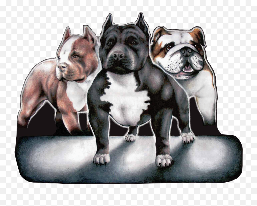 Download Bullypicture Dogs - Maximum Bully Png Image With No Emoji,Bully Png