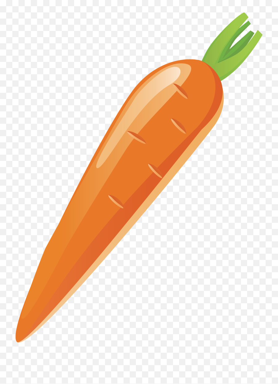 Carrot Vegetable - Transparent Carrot Vector Png Emoji,Carrot Png
