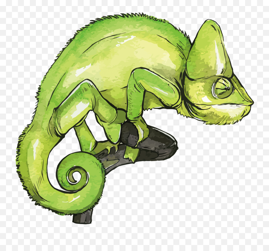Chameleons - Vector Chameleon Chameleon Png 1500x1350 Color Dibujos De Camaleones Emoji,Chameleon Clipart