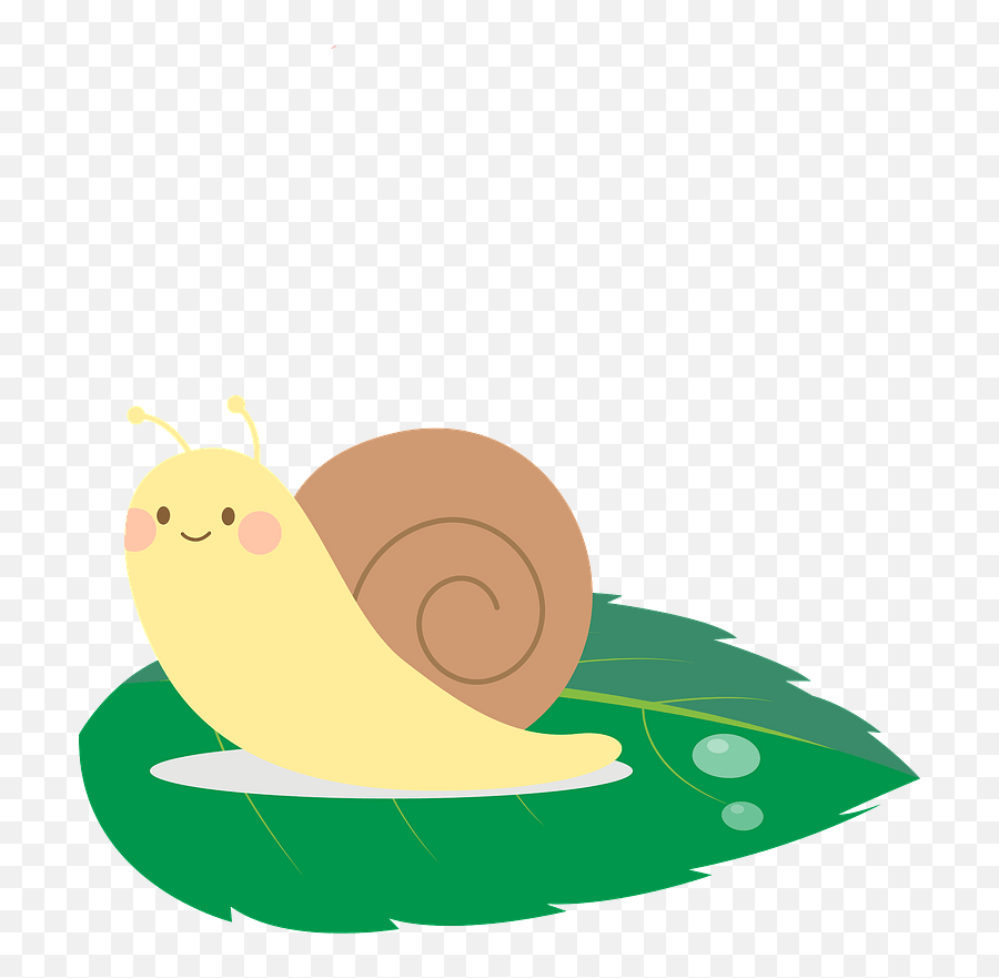 Snail Animal Clipart Free Download Transparent Png Creazilla - Snail Emoji,Cute Animal Clipart
