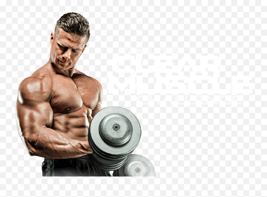Muscle Man Png Image - Purepng Free Transparent Cc0 Png Muscular Men Png Emoji,Muscles Clipart
