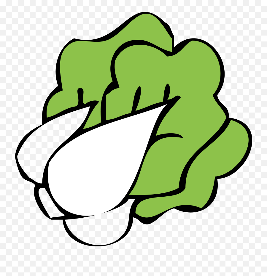 Graphic Freeuse Cabbage Drawing Cute - Bok Choy Clipart Emoji,Papel Picado Clipart