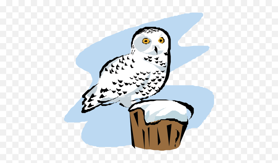 Owls Links Science Trek Idaho Public Television - Soft Emoji,Idaho Clipart