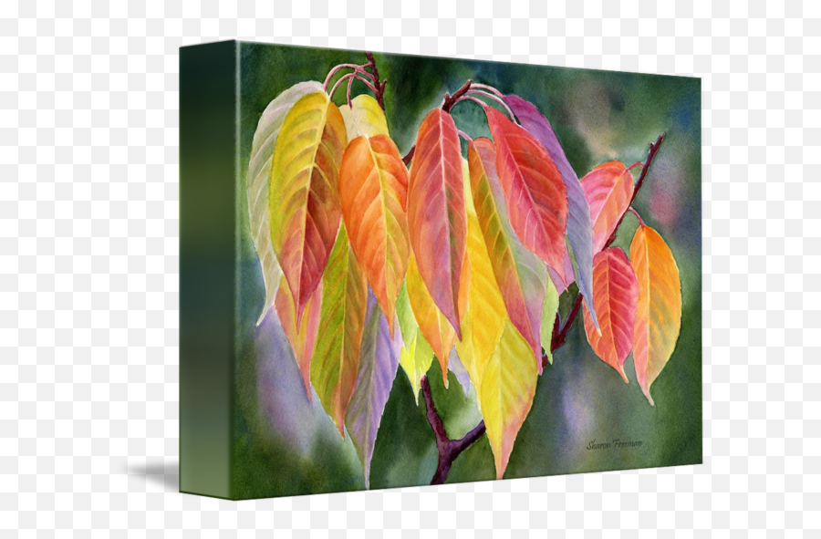 Colorfull Fall Leaves With Background By Sharon Freeman Emoji,Fall Leaves Background Png