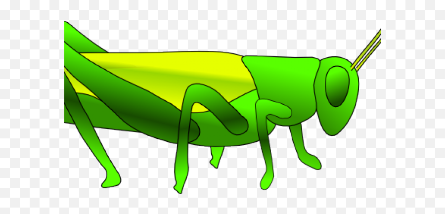 Grasshopper Clipart Small - Clipart Grasshopper Drawing On Summer Grasshopper And Cricket Emoji,Grasshopper Clipart