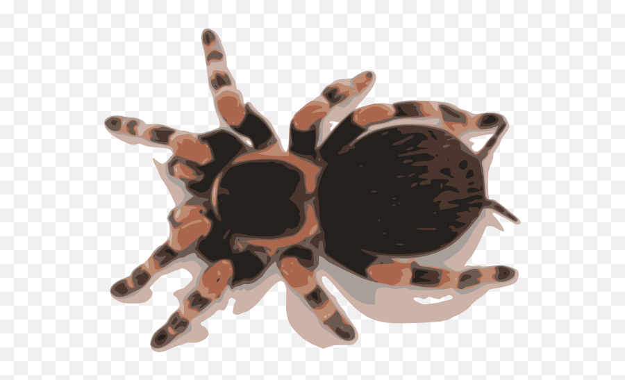 Tarantula Clip Art At Clker - Tarantula Clipart Emoji,Tarantula Png