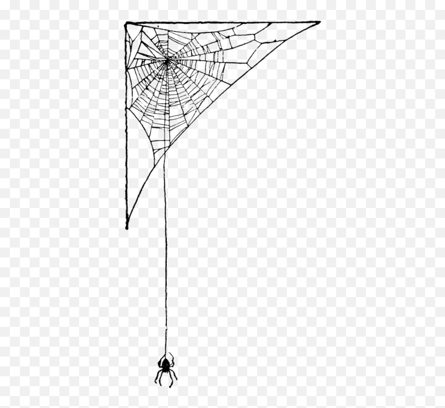 Index Of - Transparent Spider Web Corner Clipart Emoji,Spider Web Png