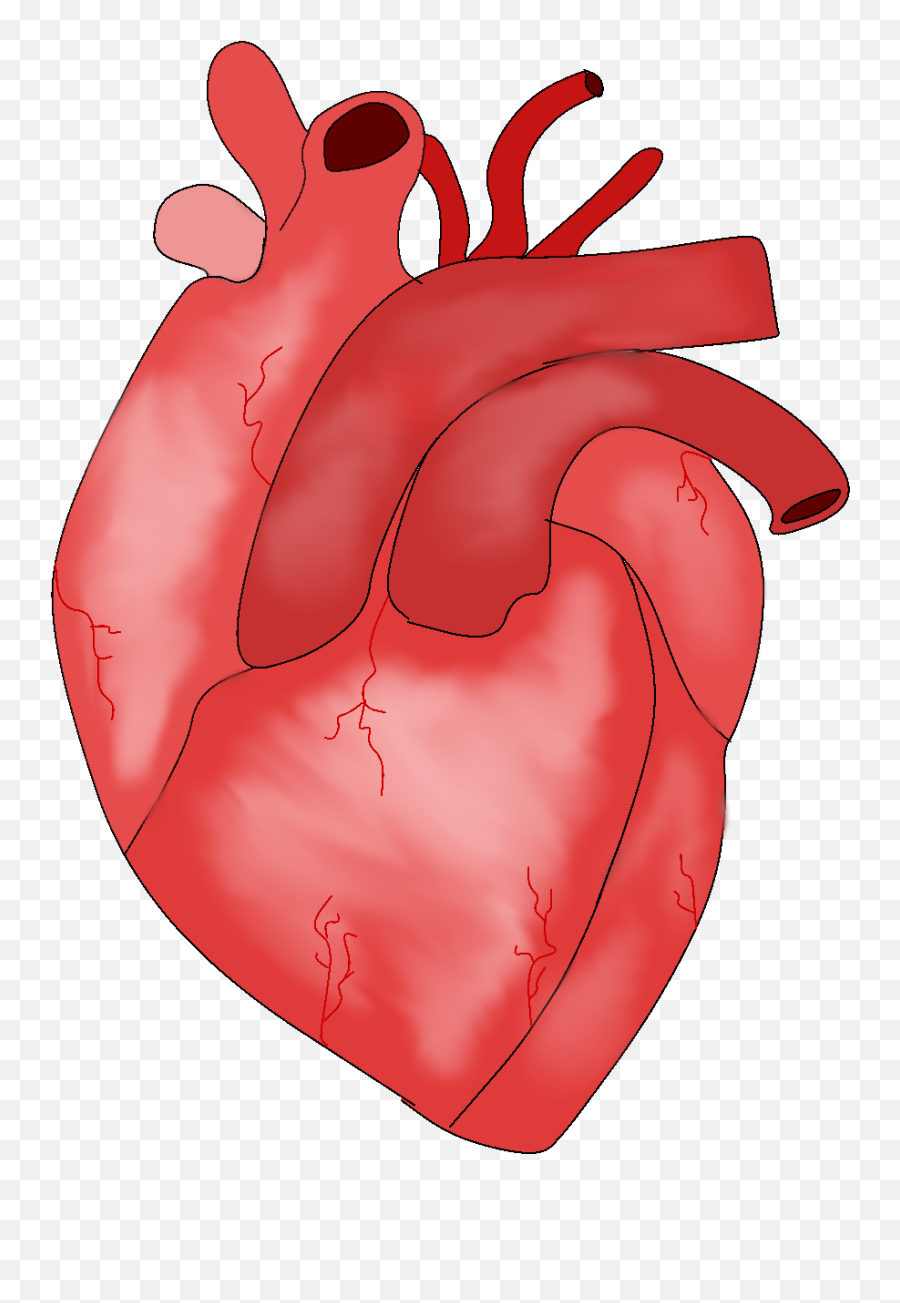 Scientists Make 3d Heart Using - Heart Emoji,3d Heart Png